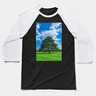 Tree Baseball T-Shirt